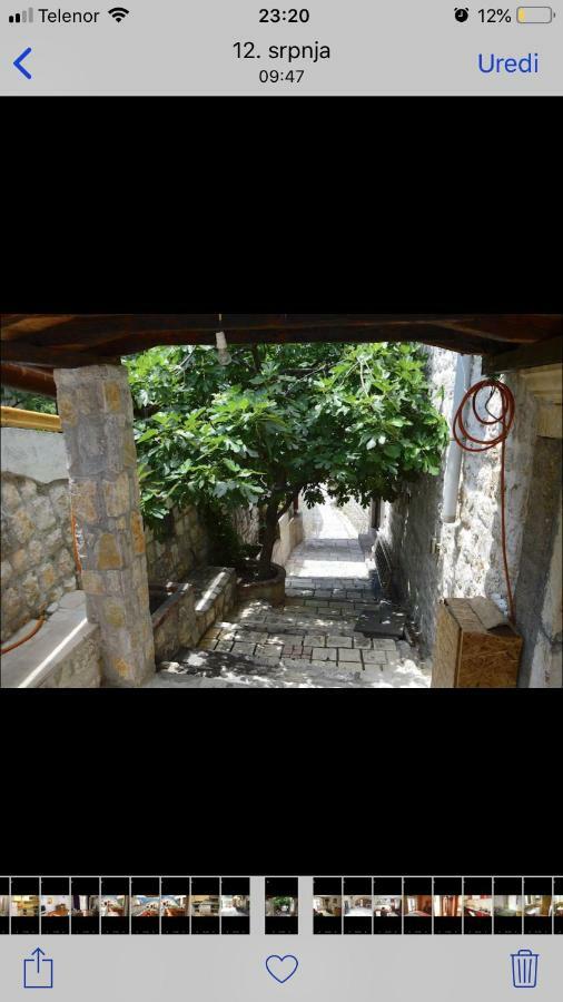 Apartments Sneza Risan Bagian luar foto
